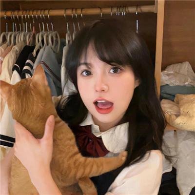 犹如故人来